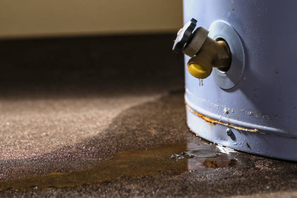 Best Water damage cleanup near me  in Sands Point, NY