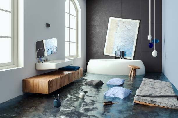 Best Carpet water damage restoration  in Sands Point, NY