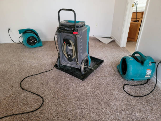 Best Flood damage cleanup  in Sands Point, NY