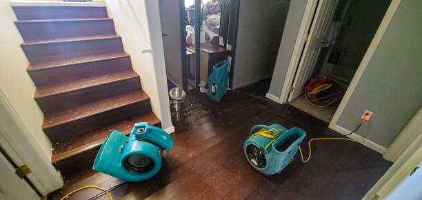 Best Water damage restoration near me  in Sands Point, NY