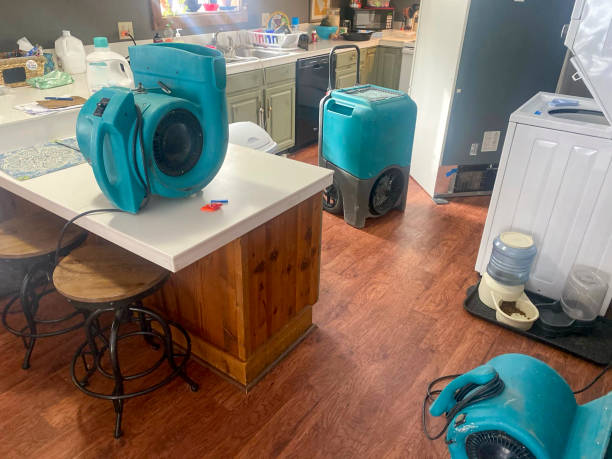 Best Commercial water damage restoration  in Sands Point, NY