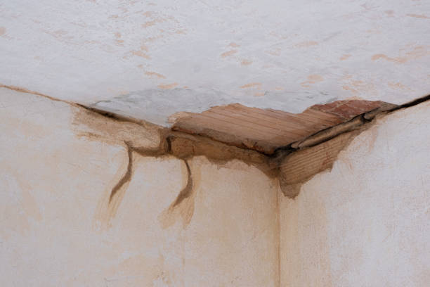 Best Water damage cleanup near me  in Sands Point, NY