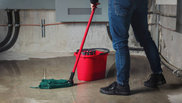 Best Mold removal after water damage  in Sands Point, NY