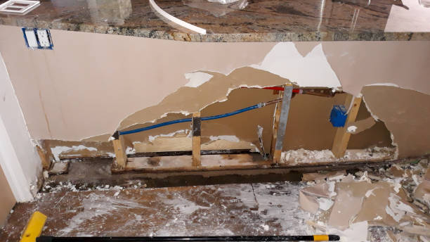 Best Basement water damage restoration  in Sands Point, NY