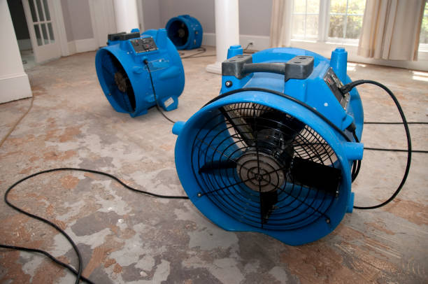 Best Flooded house restoration  in Sands Point, NY