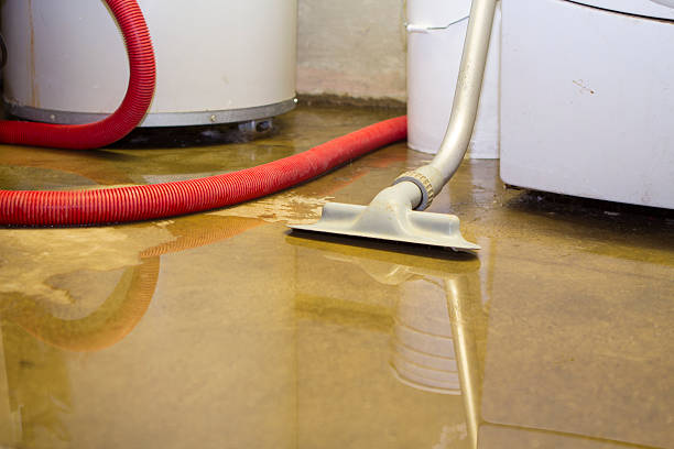 Best Professional water damage repair  in Sands Point, NY