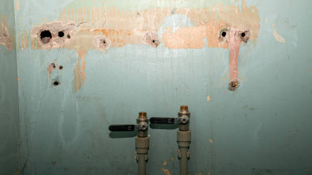Best Water damage restoration specialists  in Sands Point, NY
