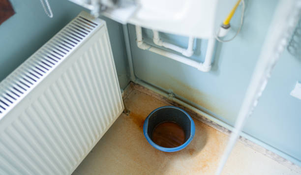 Best Basement water damage restoration  in Sands Point, NY