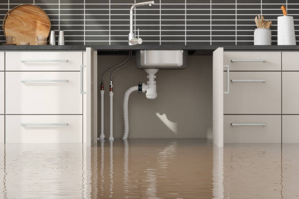 Best Emergency water damage restoration  in Sands Point, NY