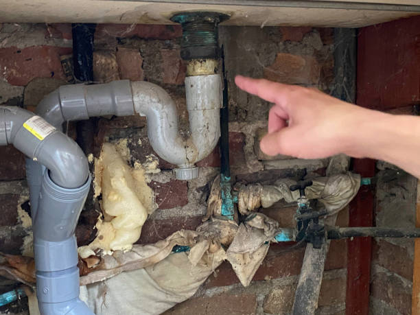 Best 24/7 water damage repair  in Sands Point, NY