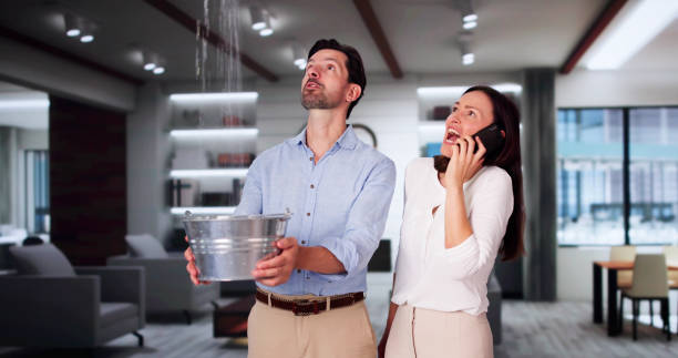 Best Sewage cleanup and water damage restoration  in Sands Point, NY
