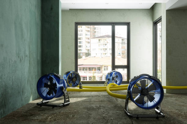 Best Water damage restoration process  in Sands Point, NY