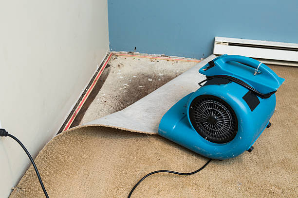 Best Basement water damage restoration  in Sands Point, NY